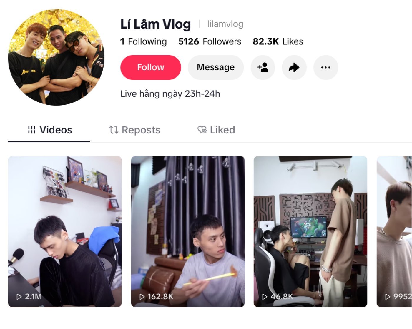 Toàn cảnh kênh TikTok Lí Lâm Vlog